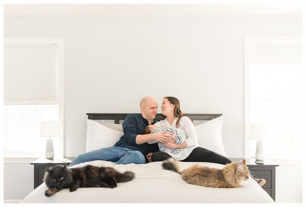 parents hold newborn on bed with two cats at in home lifestyle newborn photo session in Needham Massachusetts