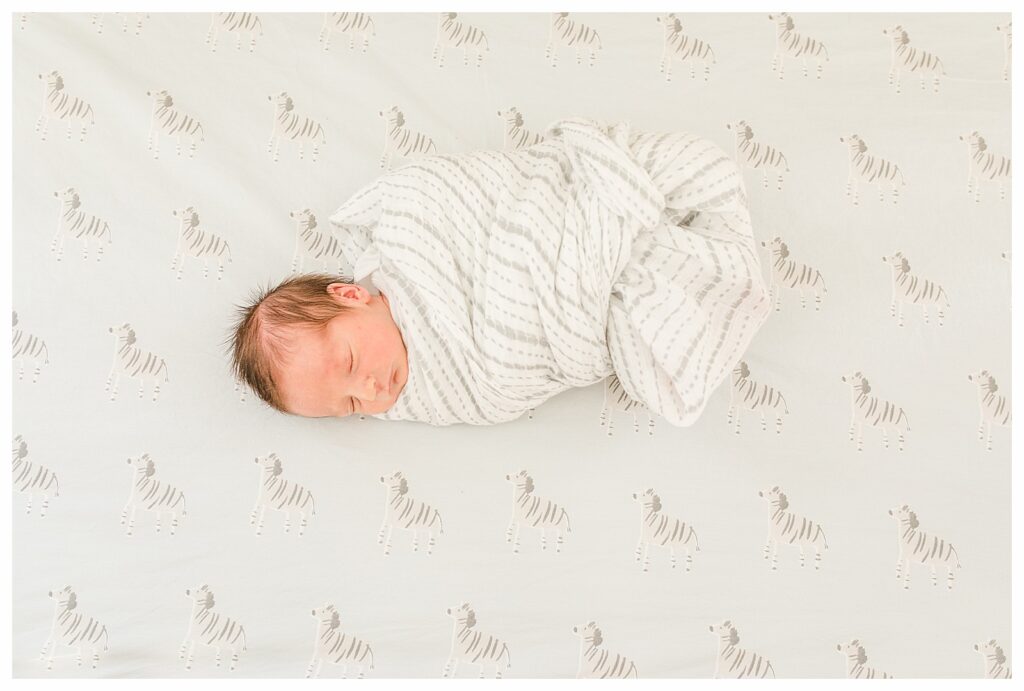 needham newborn photo session