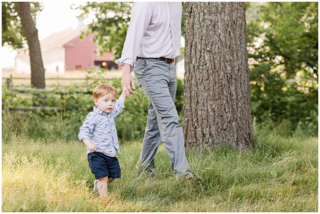 toddler walking holding dads hand for family photos Barber Reservation Sherborn MA