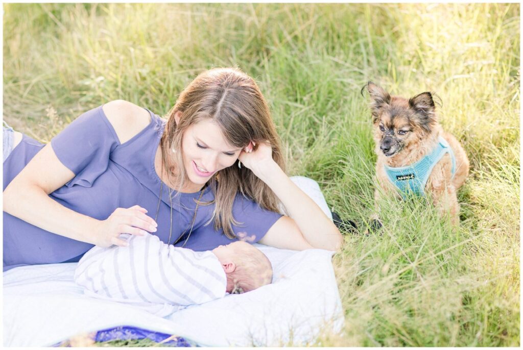 Mom laying down with newborn and dog for outdoor newborn photo session 
