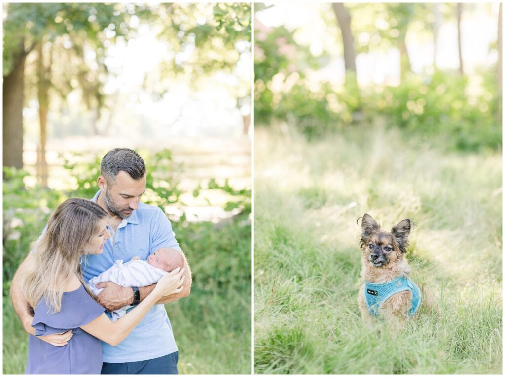 parents smile at baby and dog sit in grass for Massachusetts newborn Photo session