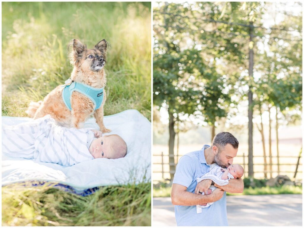 dog sits on blanket with newborn for Massachusetts photo session