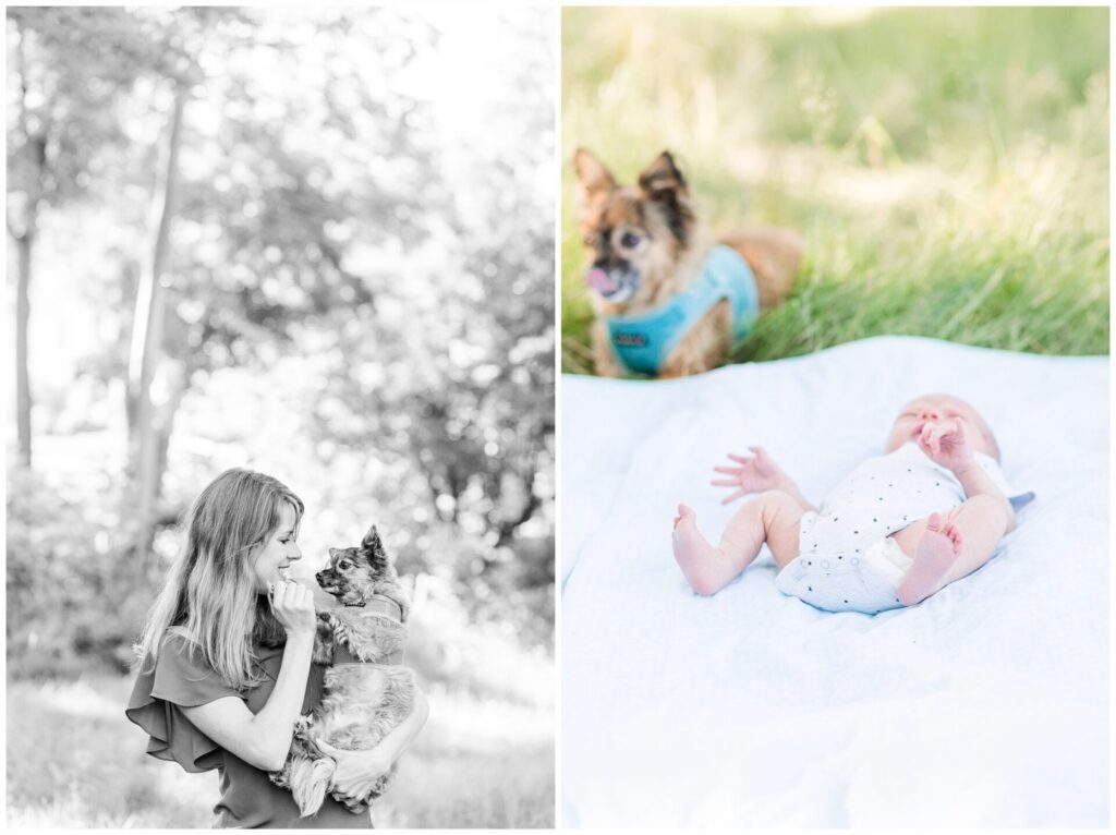 woman holds dog and dog sits with baby on blanket for family photo session in Sherborn Massachusetts