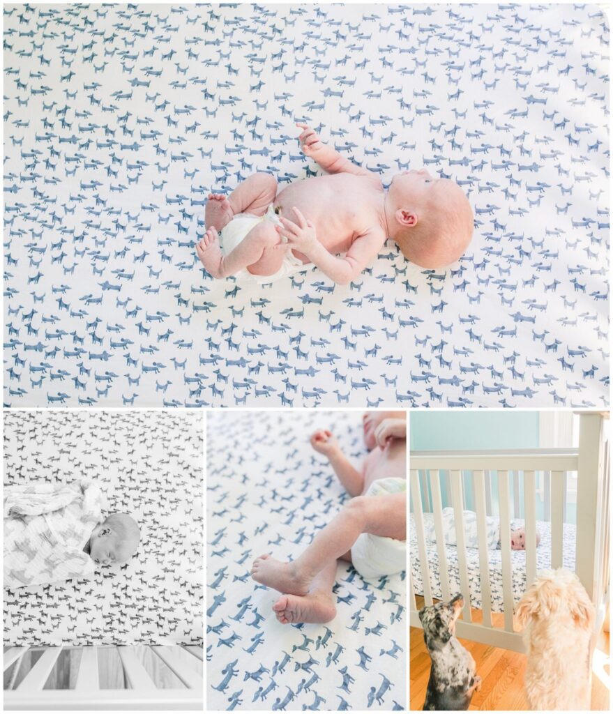 collage of baby photos Natick Massachusetts