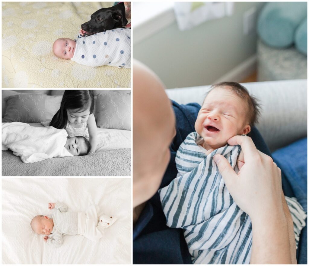 collage of photos of babies during in home newborn photo sessions in MetroWest Boston Massachusetts