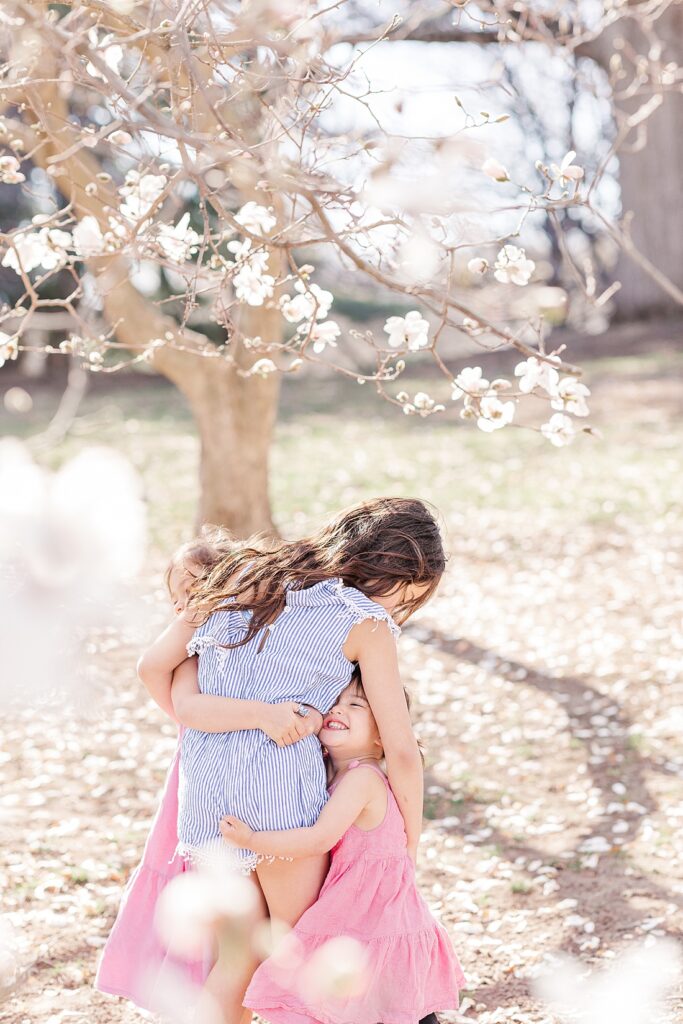 Sisters hug under branch of white flowers during family photo session with Sara Sniderman Photography at Wellesley Town Hall