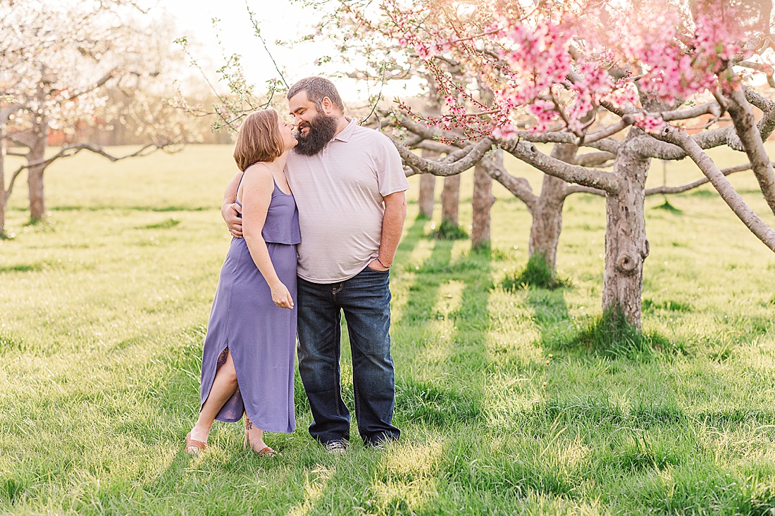 dad swings son around while mom and son laugh in background among blooming apple trees during family photo session with Sara Sniderman Photography at Heard Farm, Wayland Massachusetts