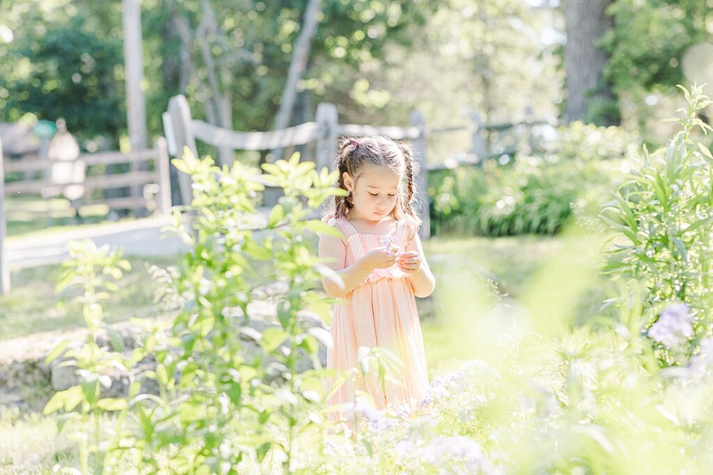 girl looks at flower in field during outdoor newborn photo session with Sara Sniderman Photography at Barber Reservation, Sherborn Massachusetts. 