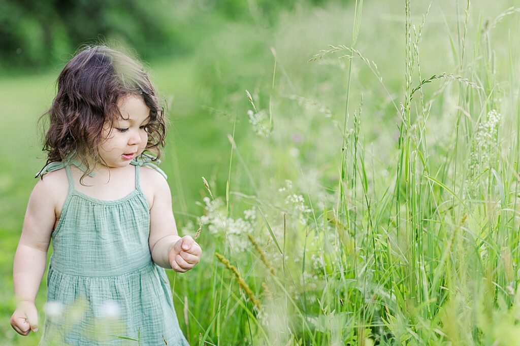 toddler looks at wild flowers during outdoor newborn photo session with Sara Sniderman Photography at Heard Farm, Wayland Massachusetts