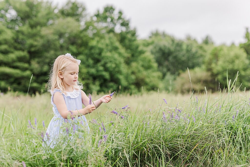 girl picks purple wild flowers in field during full family photo session with Sara Sniderman Photography at Oak Grove Park, Millis Massachusetts