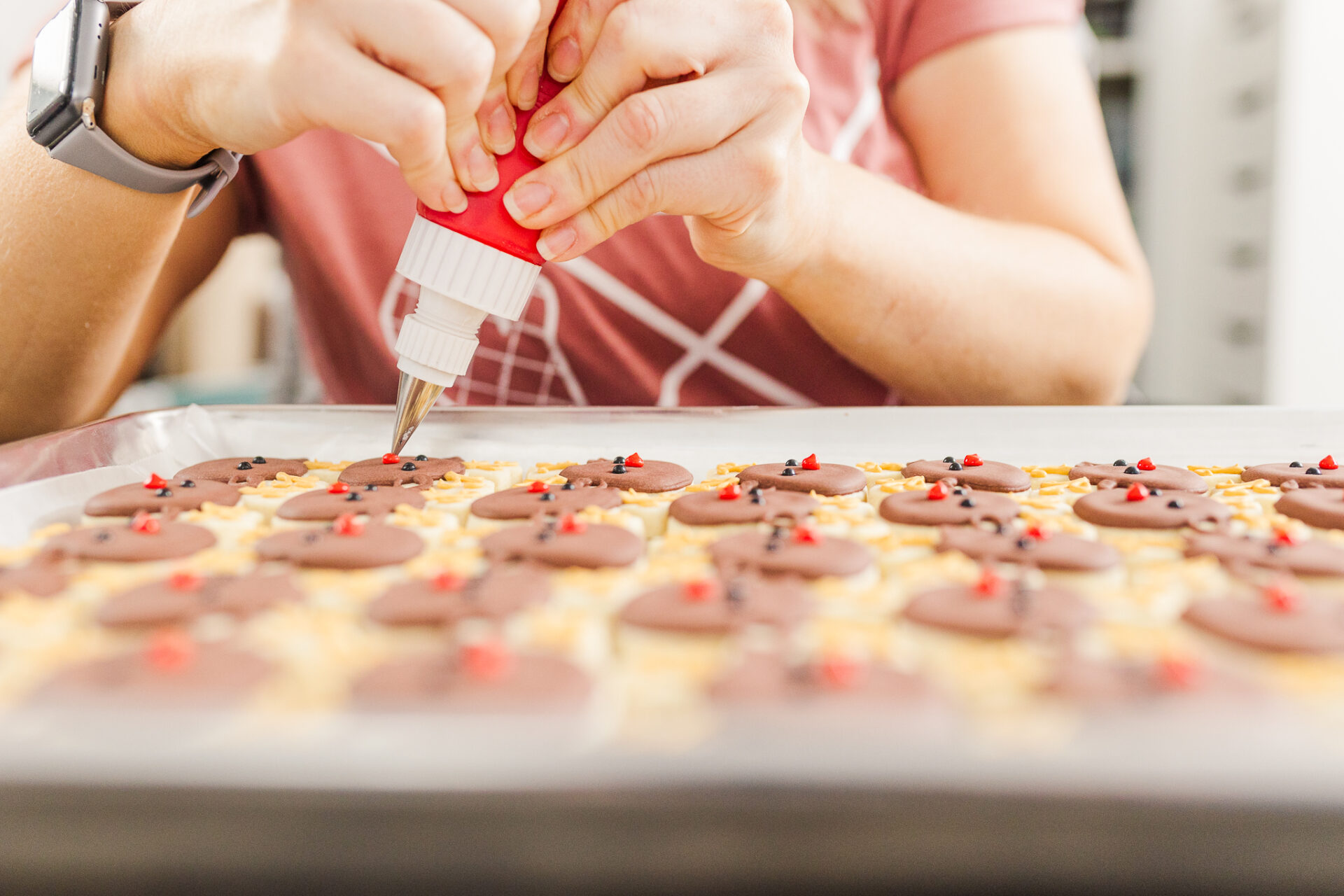 Beth from Bardellini's Creative Confections decorates cookies in Natick Massachusetts