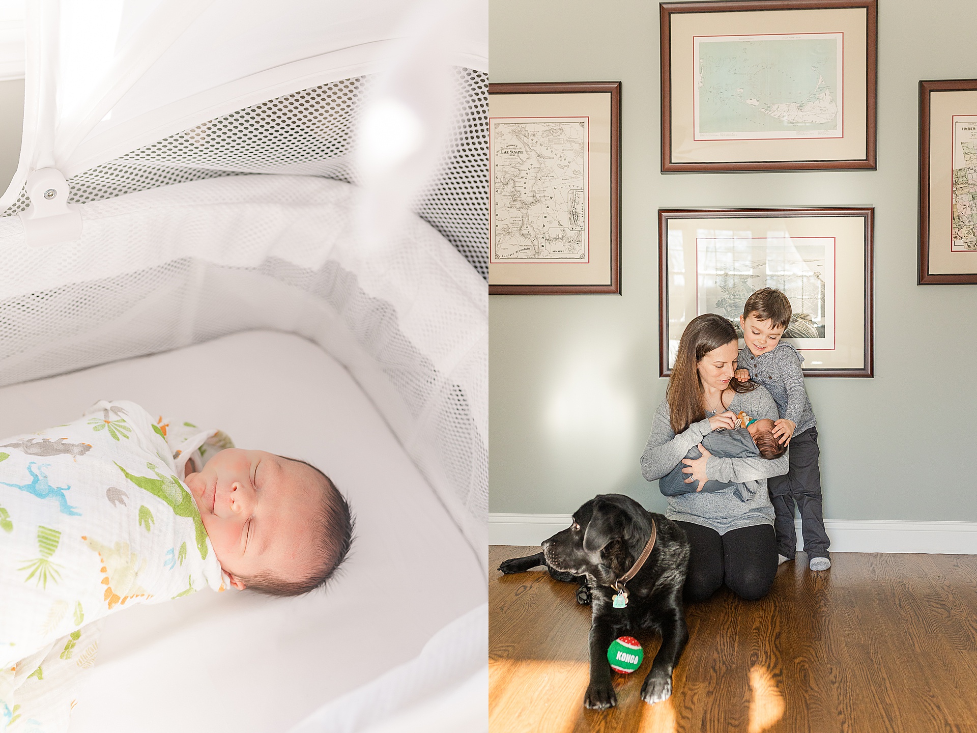 newborn sleeps in bassinet and Mom holds baby sitting on ground with toddler and black lab during in home newborn photo session with Sara Sniderman Photography in Framingham Massachusetts