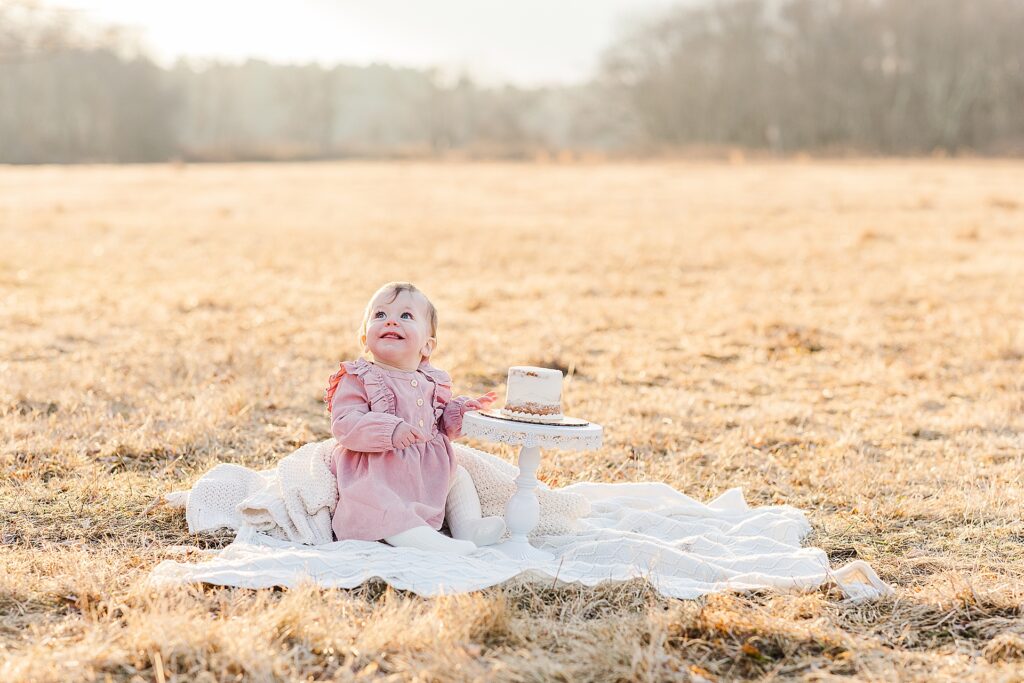 baby smiles while siting on blanket in field with a cake during first birthday cake smash photo session with Sara Sniderman Photography at Cow Common, Wayland Massachusetts