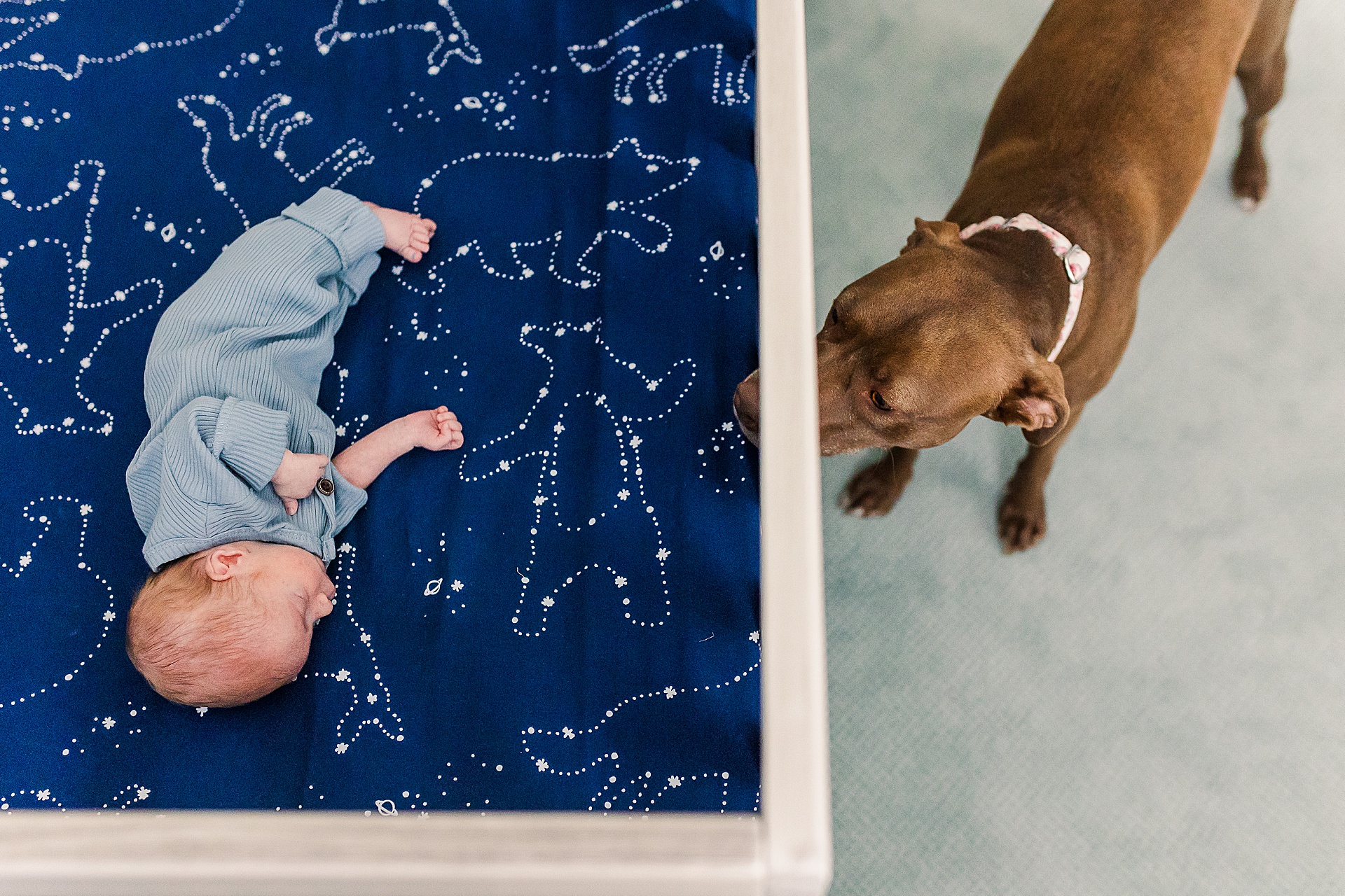 twin in home newborn photo session with Sara Sniderman Photography in Sudbury Massachusetts