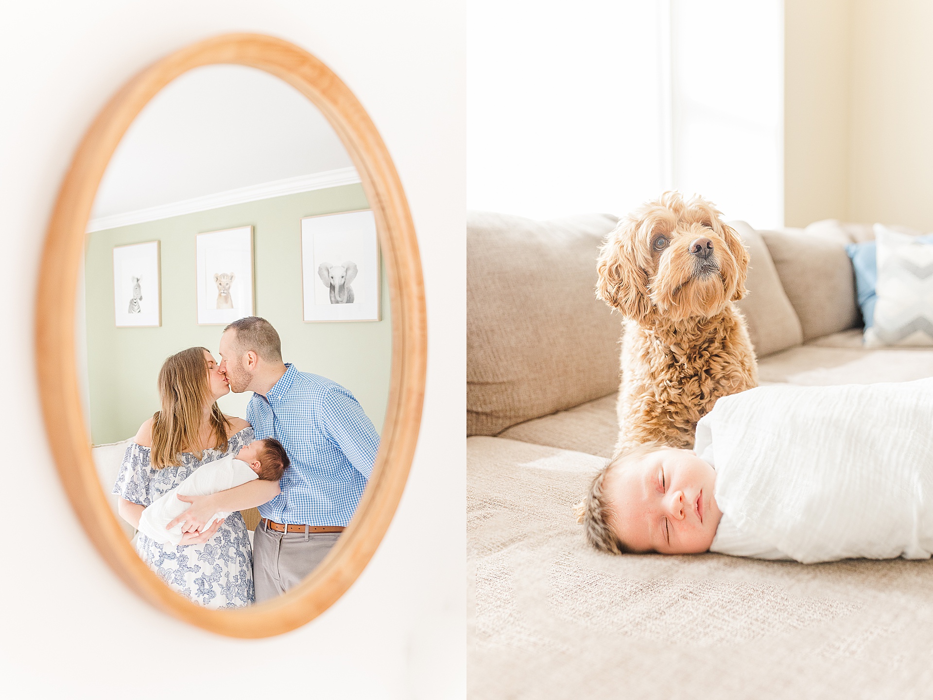 parents kiss in mirror and dog sits by baby during in home newborn photo session with Sara Sniderman Photography 