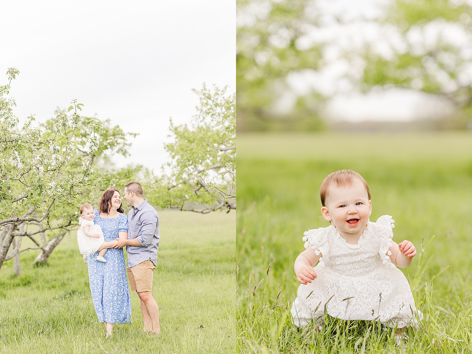 one year old sits in orchard and parents smile at each other during first birthday family photo session with Sara Sniderman Photography at Heard Farm in Wayland Massachusetts