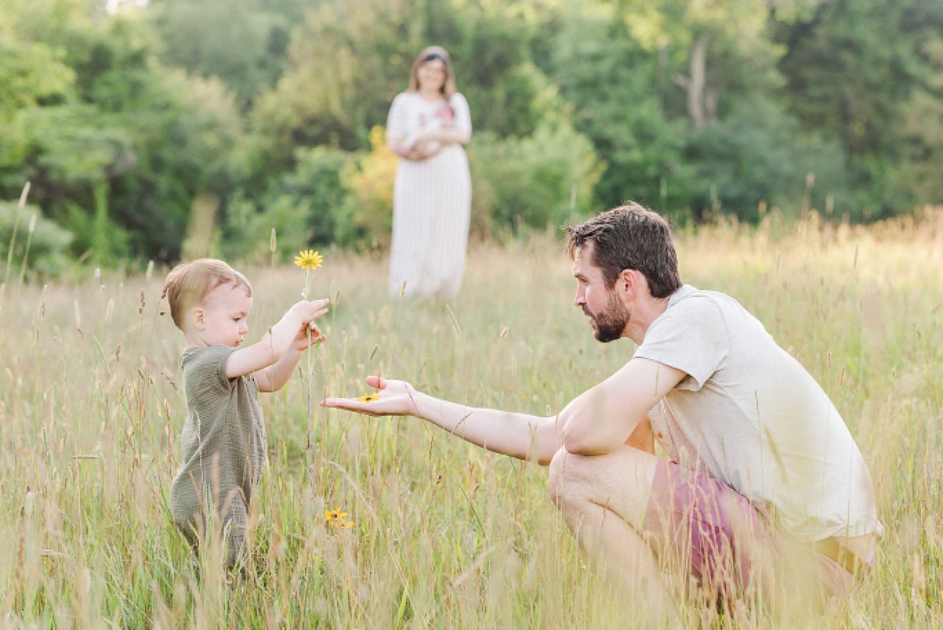 father and son pick flowers while mother watches during outdoor newborn photo session with Sara Sniderman Photography at Oak Grove Park Millis Massachusetts