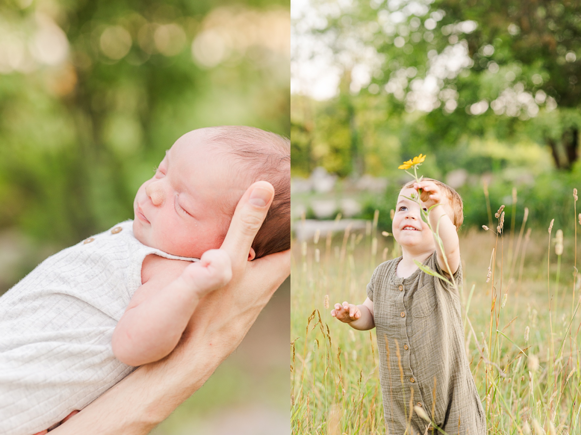 toddler picks flower and baby sleeps in dads hands during outdoor newborn photo session with Sara Sniderman Photography at Oak Grove Park Millis Massachusetts