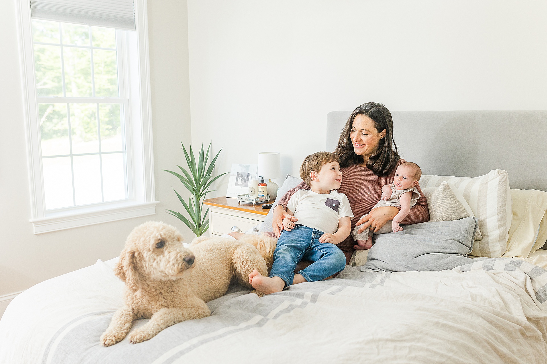 mother cuddles on a bed with her two sons and dog during in home newborn photo session with Sara Sniderman Photography Southborough Massachusetts