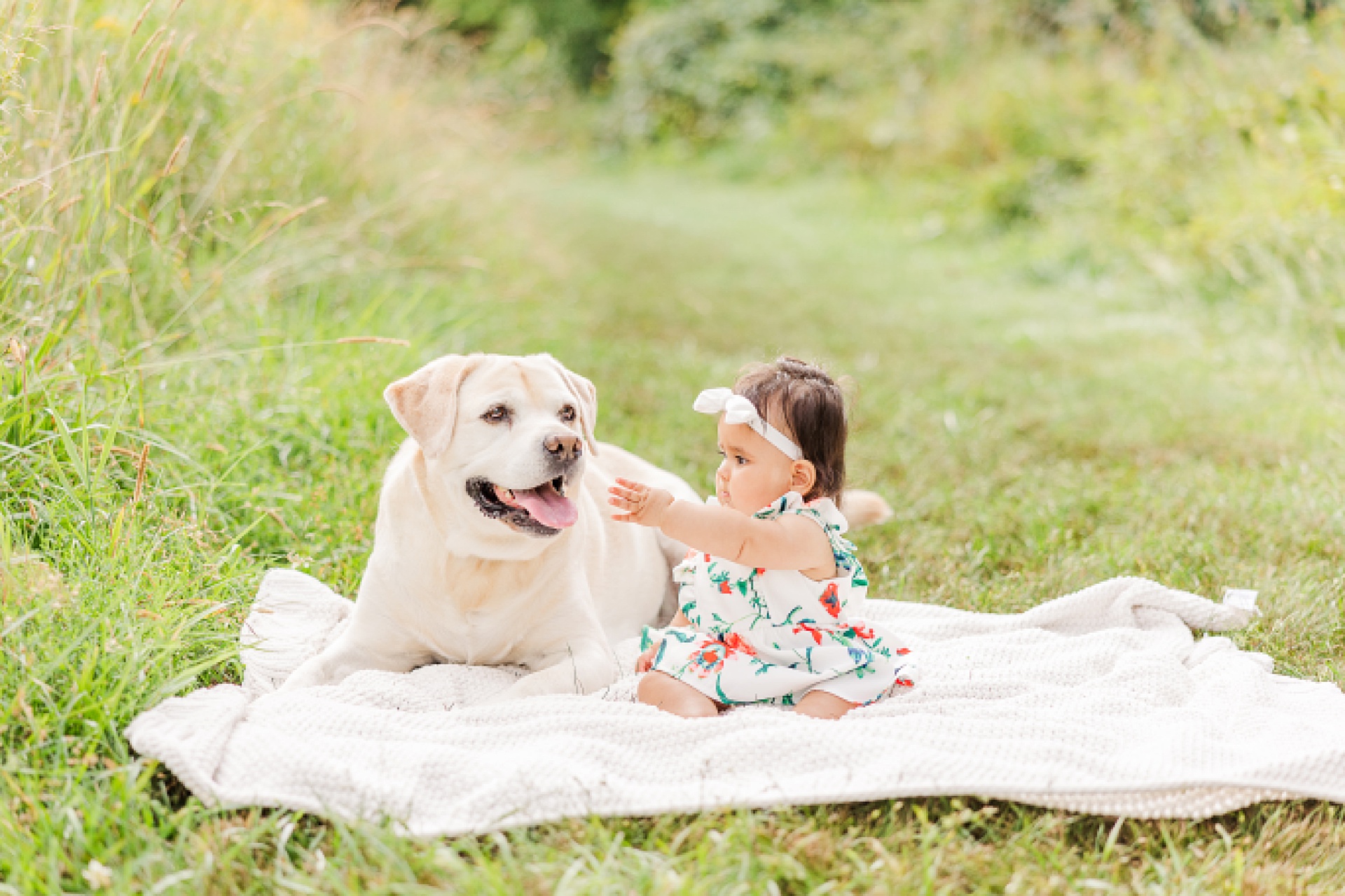 dog and baby on blanket during family photo session with Sara Sniderman Photography at heard farm in Wayland Massachusetts.