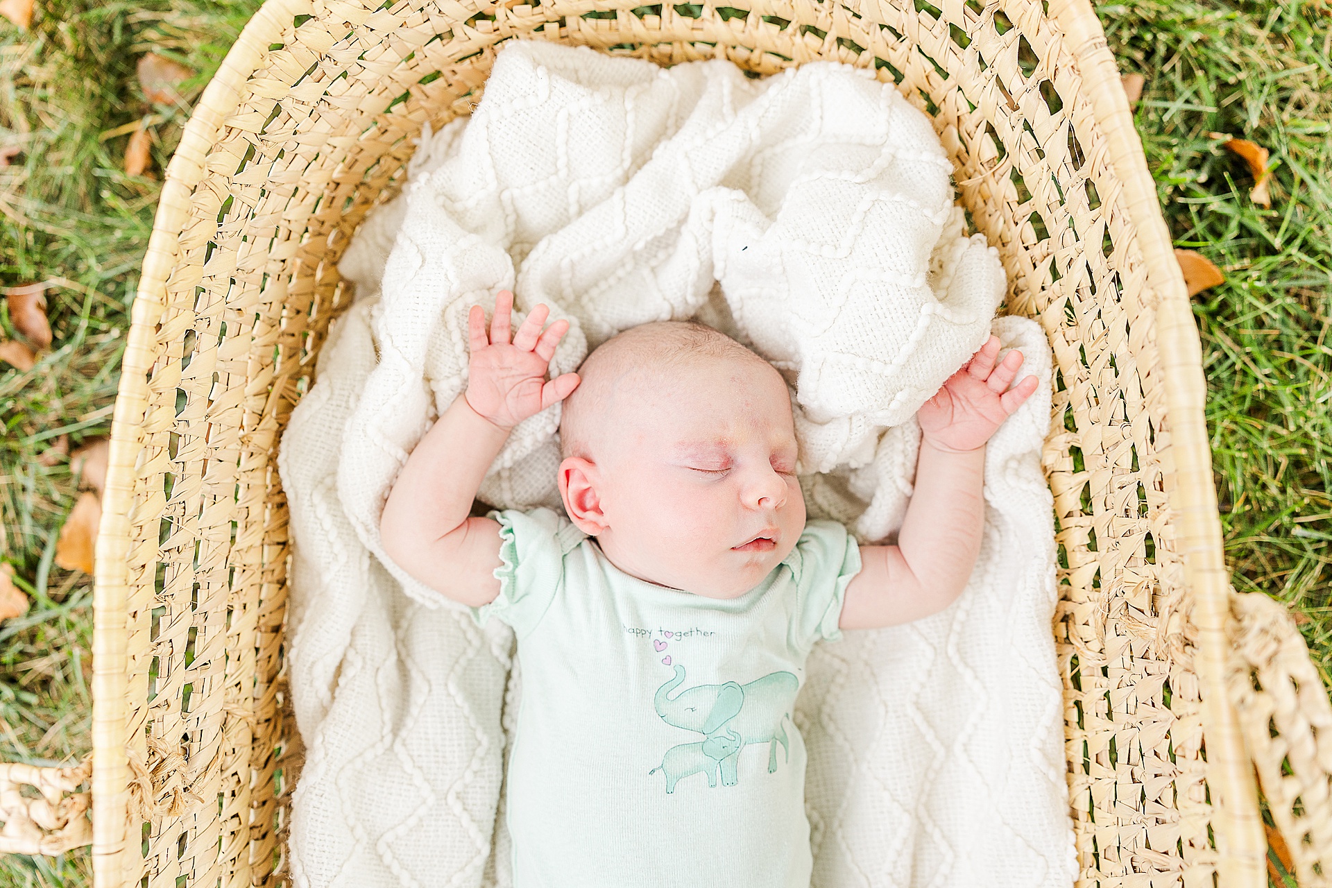 baby lays in moses basket during outdoor newborn photo session with Sara Sniderman Photography in Natick Massachusetts