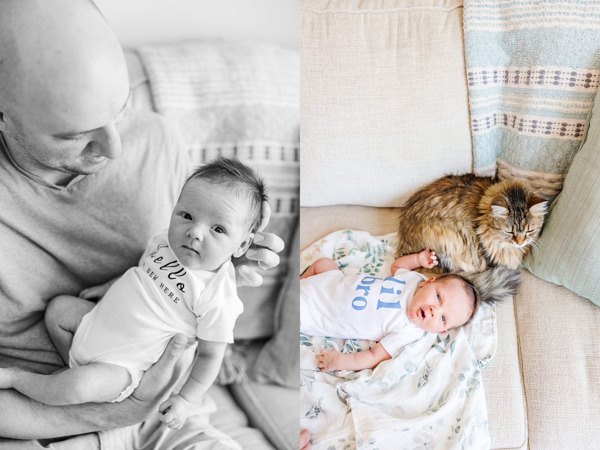cat sits with newborn during in home newborn session with Sara Sniderman Photography in Medway Massachusetts