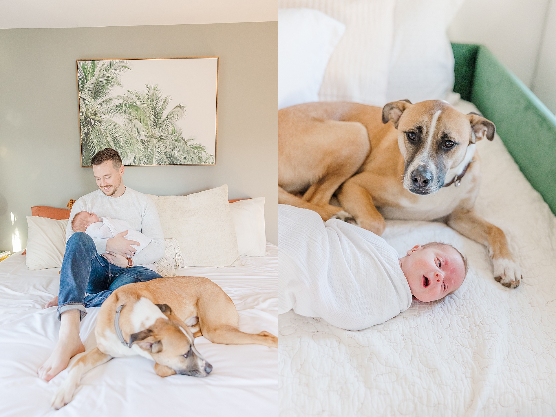 Dad lays on bed with dog and baby during in home newborn photo session for NICU baby in Natick Massachusetts