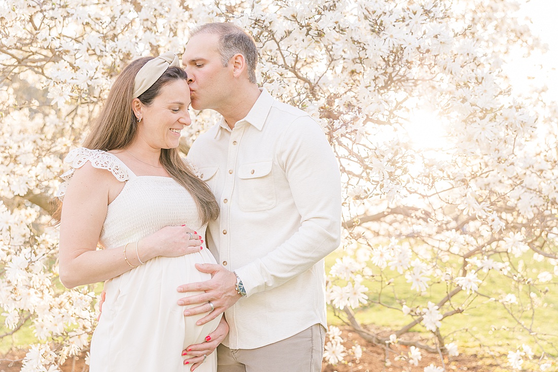 Spring blossom Maternity session at Wellesley town hall with Sara Sniderman Photography