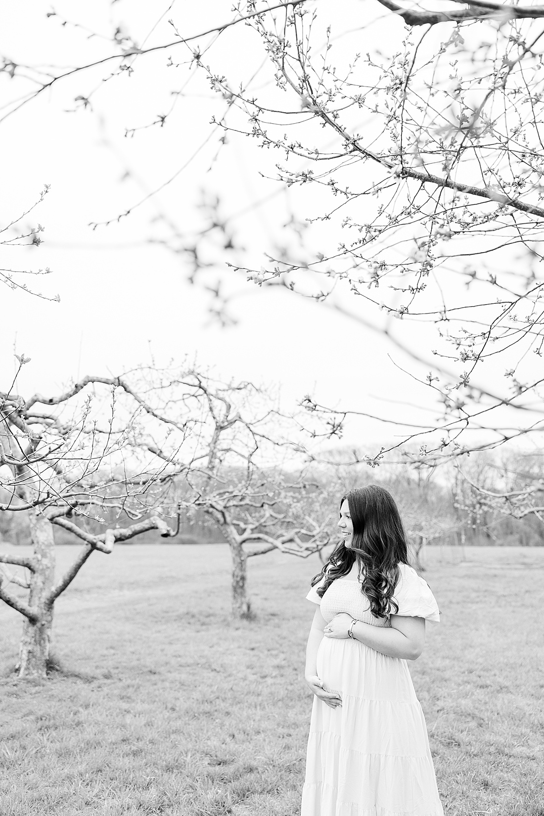 Spring orchard maternity photo session at Heard Farm, Wayland Massachusetts