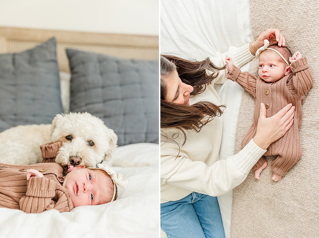 in-home newborn photo session with big sister and dog with Sara Sniderman Photography in Wayland Massachusetts