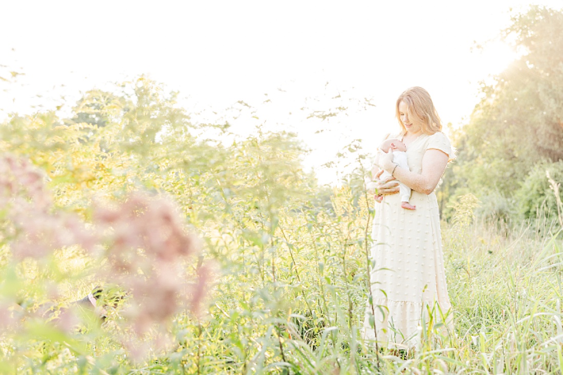 wildflower outdoor newborn photo session with Sara Sniderman Photography at Heard Farm, Wayland Massachusetts