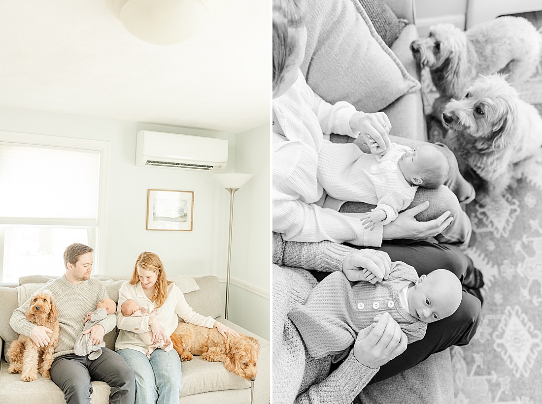 twins and dogs during twin newborn photo session with Sara Sniderman Photography in Natick Massachusetts