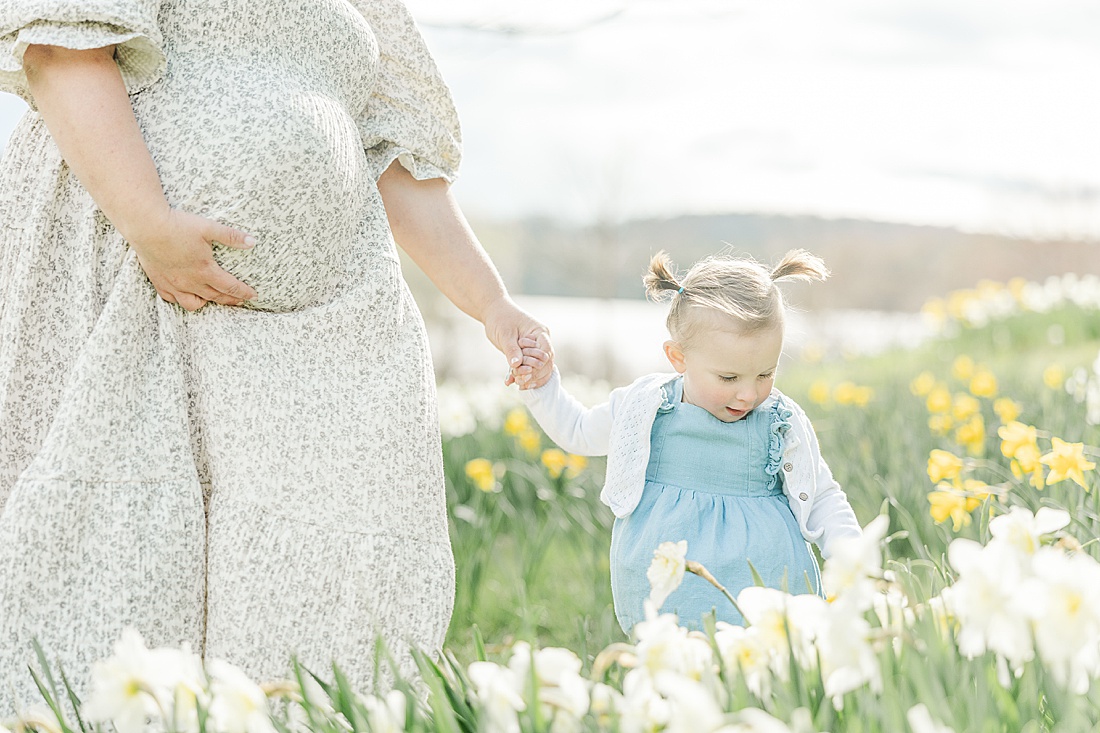 Image of professional family photo session taken by Sara Sniderman Photography, a family, newborn and maternity photographer serving the Metro West Boston area include: Natick, Needham, Newton, Wellesley, Wayland, Weston, Sherborn, Sudbury, Southborough, Medfield, Medway, Holliston, Framingham. The image is of pregnant mother and toddler in field of daphodils