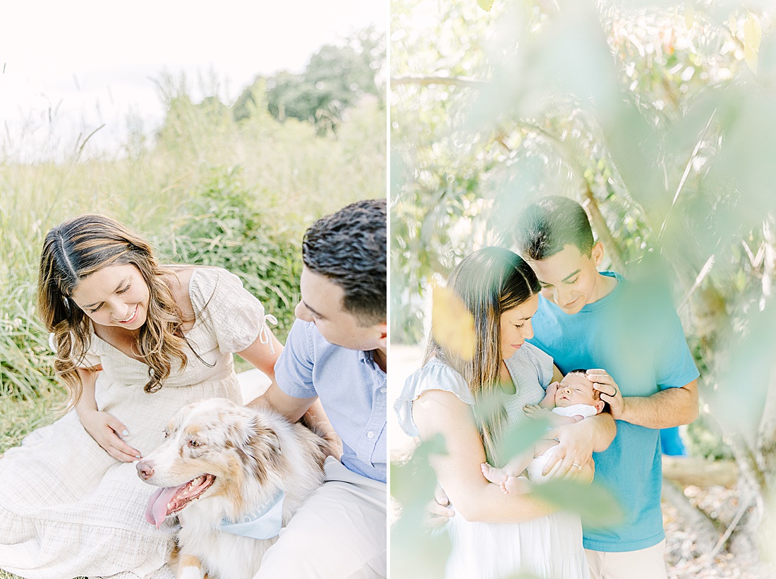 Image of professional maternity photos taken by Sara Sniderman Photography, a family, newborn and maternity photographer serving the Metro West Boston area include: Natick, Needham, Newton, Wellesley, Wayland, Weston, Sherborn, Sudbury, Southborough, Medfield, Medway, Holliston, Framingham. Image shows couple with their dog in first photo and couple with their baby in second photo. 