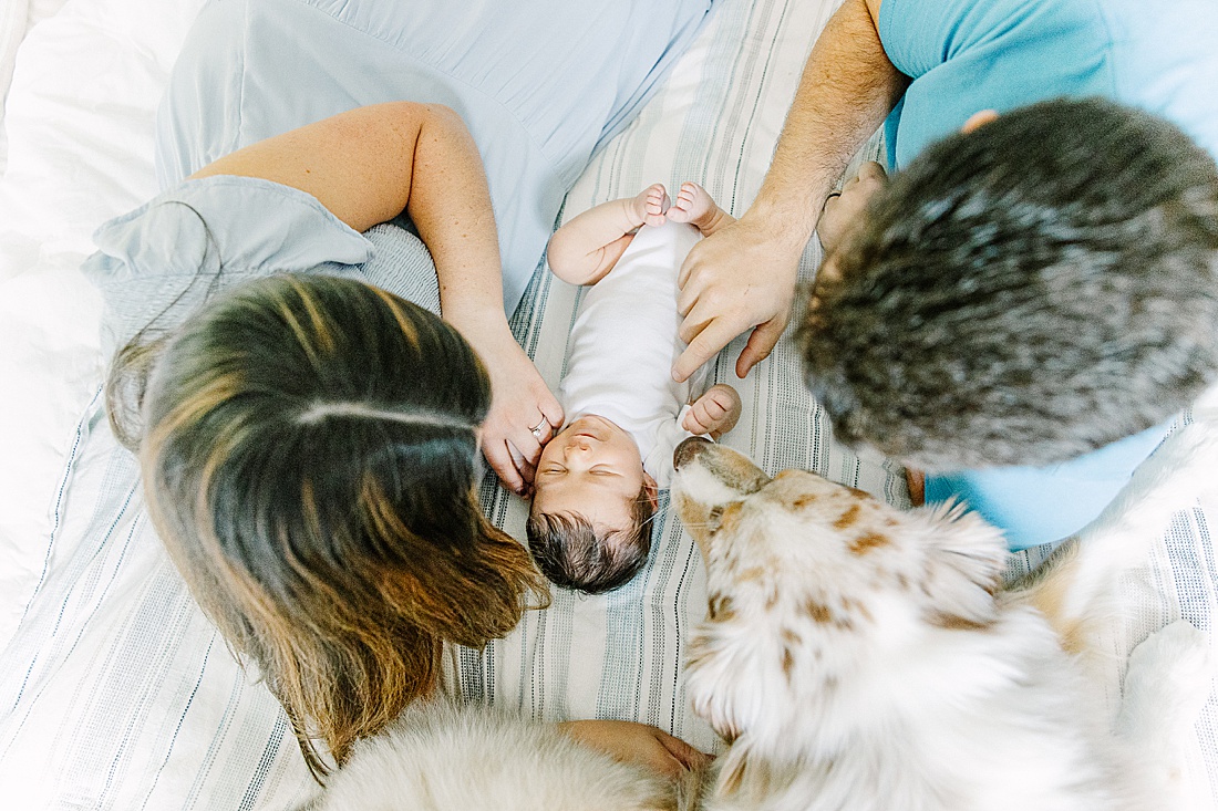 Image of professional newborn photos taken by Sara Sniderman Photography, a family, newborn and maternity photographer serving the Metro West Boston area include: Natick, Needham, Newton, Wellesley, Wayland, Weston, Sherborn, Sudbury, Southborough, Medfield, Medway, Holliston, Framingham. Image shows family including their dog laying on a bed. 