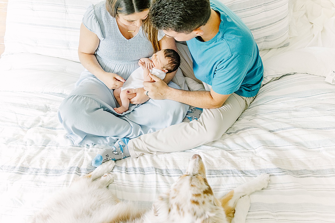 Image of professional newborn photos taken by Sara Sniderman Photography, a family, newborn and maternity photographer serving the Metro West Boston area include: Natick, Needham, Newton, Wellesley, Wayland, Weston, Sherborn, Sudbury, Southborough, Medfield, Medway, Holliston, Framingham. Image shows family with dog and newborn on a bed. 