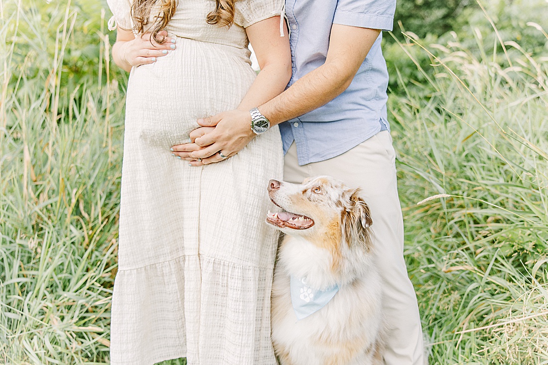 Image of professional maternity photos taken by Sara Sniderman Photography, a family, newborn and maternity photographer serving the Metro West Boston area include: Natick, Needham, Newton, Wellesley, Wayland, Weston, Sherborn, Sudbury, Southborough, Medfield, Medway, Holliston, Framingham. Image shows woman's belly with dog looking at belly. 