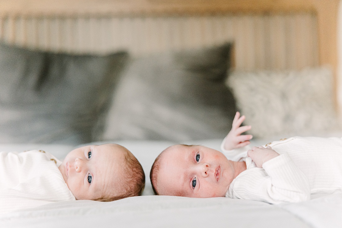 babies lay on bed during twin newborn photo session in Natick Massachusetts with Sara Sniderman Photography