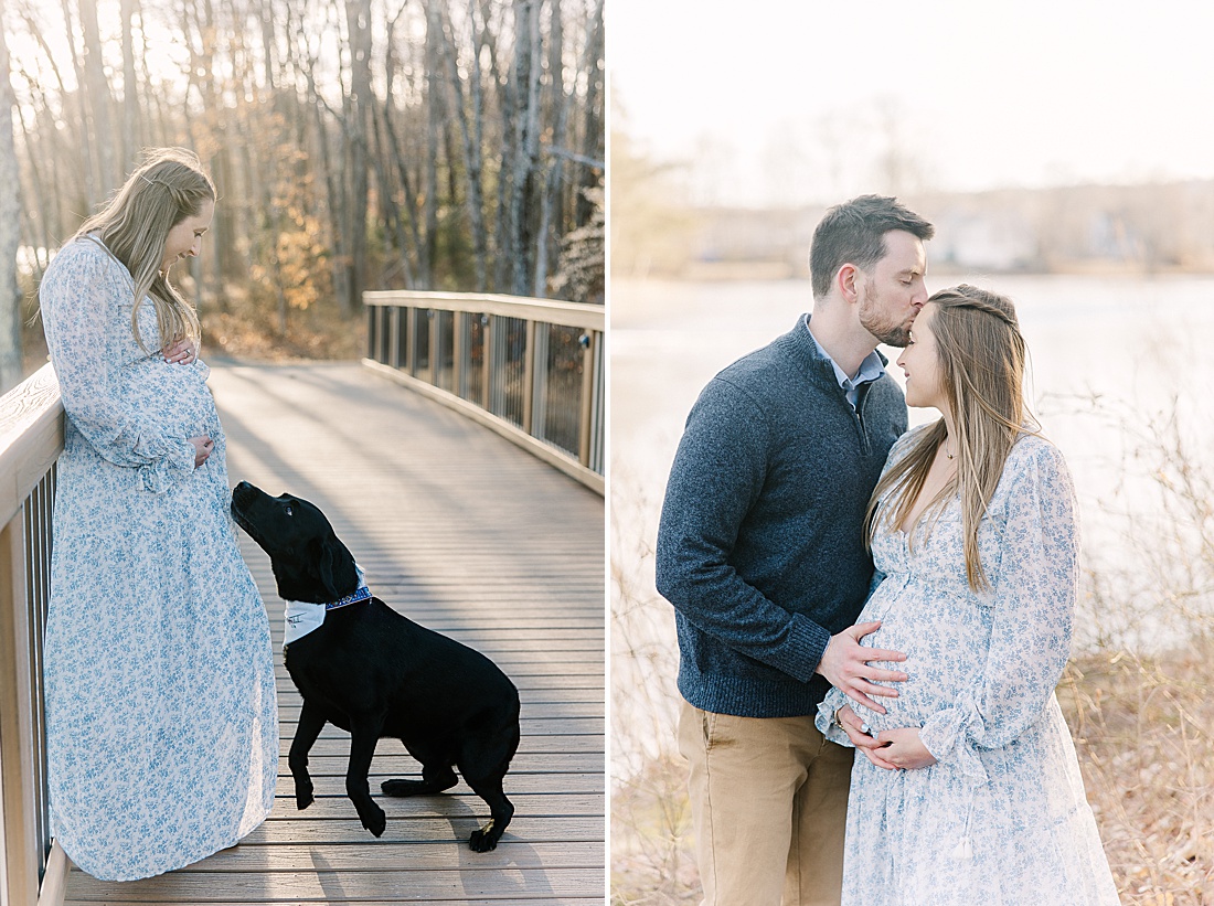 Dog sniffs pregnant woman's baby bump during maternity photos session with Sara Sniderman Photography in Ashland Massachusetts