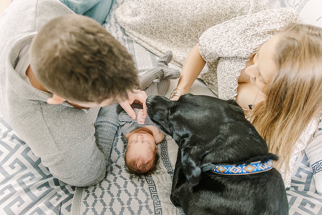 parents and dog lay on bed with baby during in-home newborn photos with Sara Sniderman Photography in MetroWest Boston Massachusetts