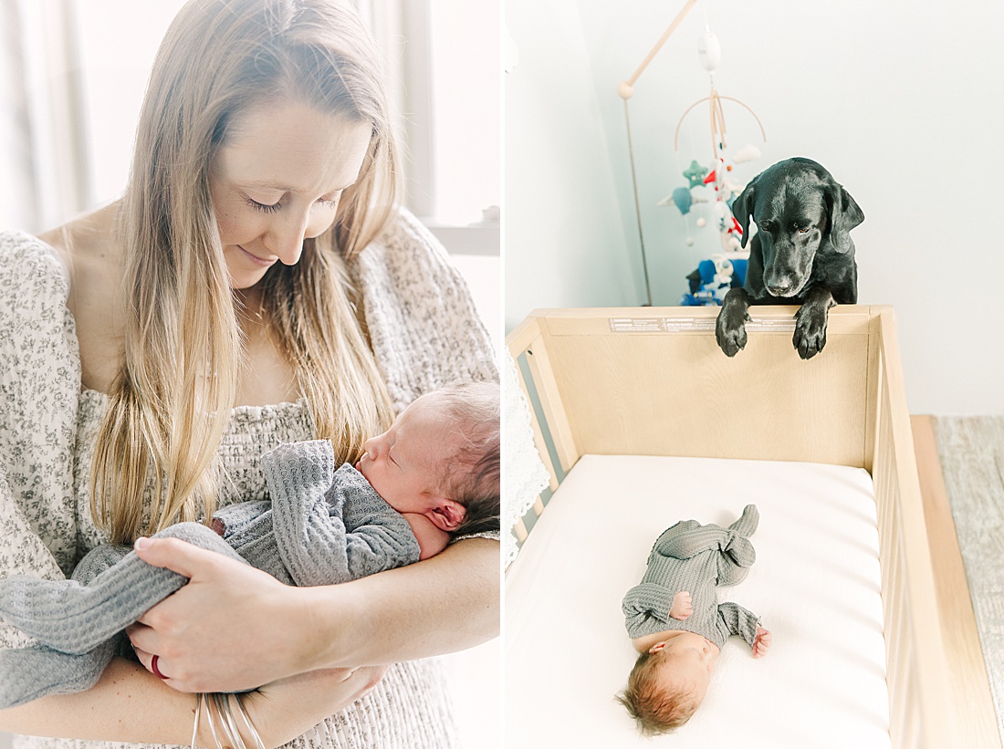 mother holds baby and dog looks at baby in crib during in-home newborn photos with Sara Sniderman Photography in MetroWest Boston Massachusetts