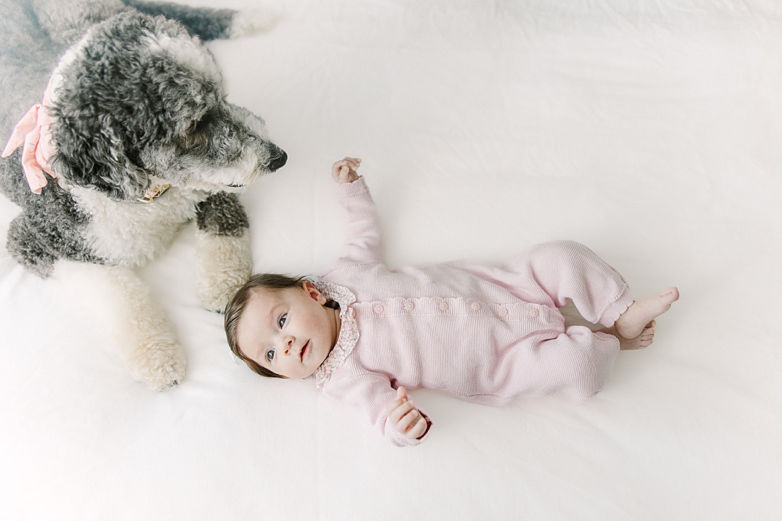 baby and dog on bed during in-home newborn photo session with Sara Sniderman Photography in Norwood Massachusetts