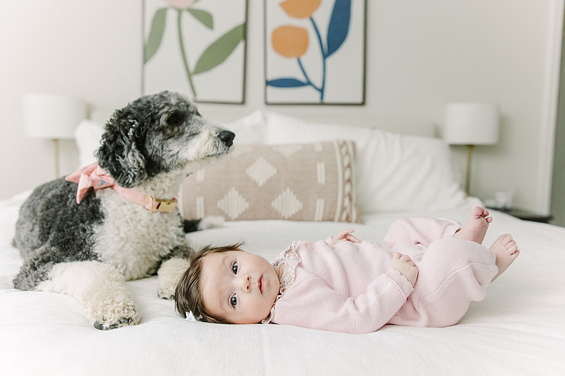 baby and dog on bed during in-home newborn photo session with Sara Sniderman Photography in Norwood Massachusetts