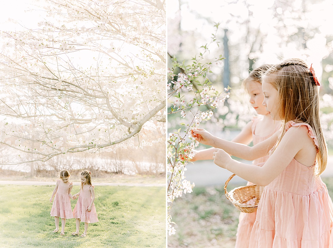 twin sister picking flowers during family photo session with Sara Sniderman Photography at Wellesley College. 