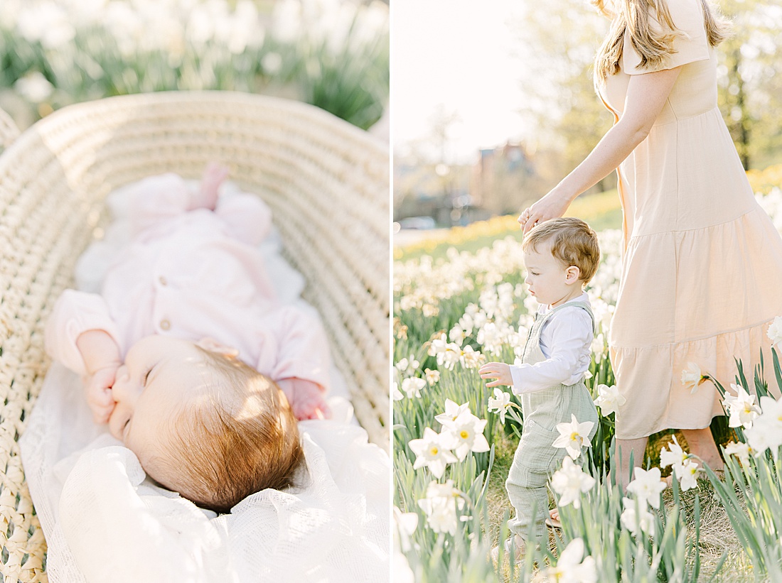 baby in moses basket and mother and son walk through field of flowers uring family photo session with Sara Sniderman Photography at Wellesley College.