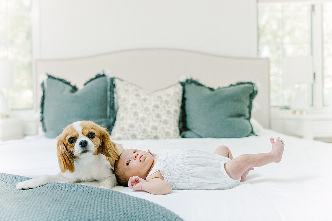 baby and dog lay on bed during in-home newborn photo session with Sara Sniderman Photography in Natick Massachusetts