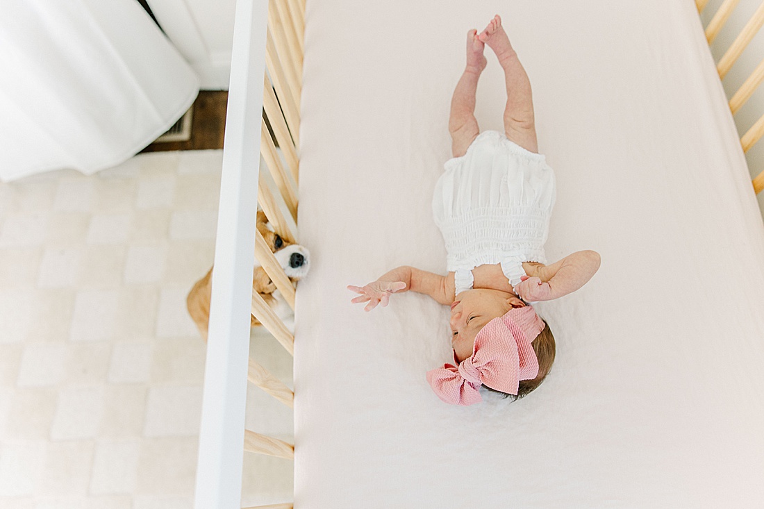 dog looking into crib during in-home newborn photo session with Sara Sniderman Photography in Natick Massachusetts