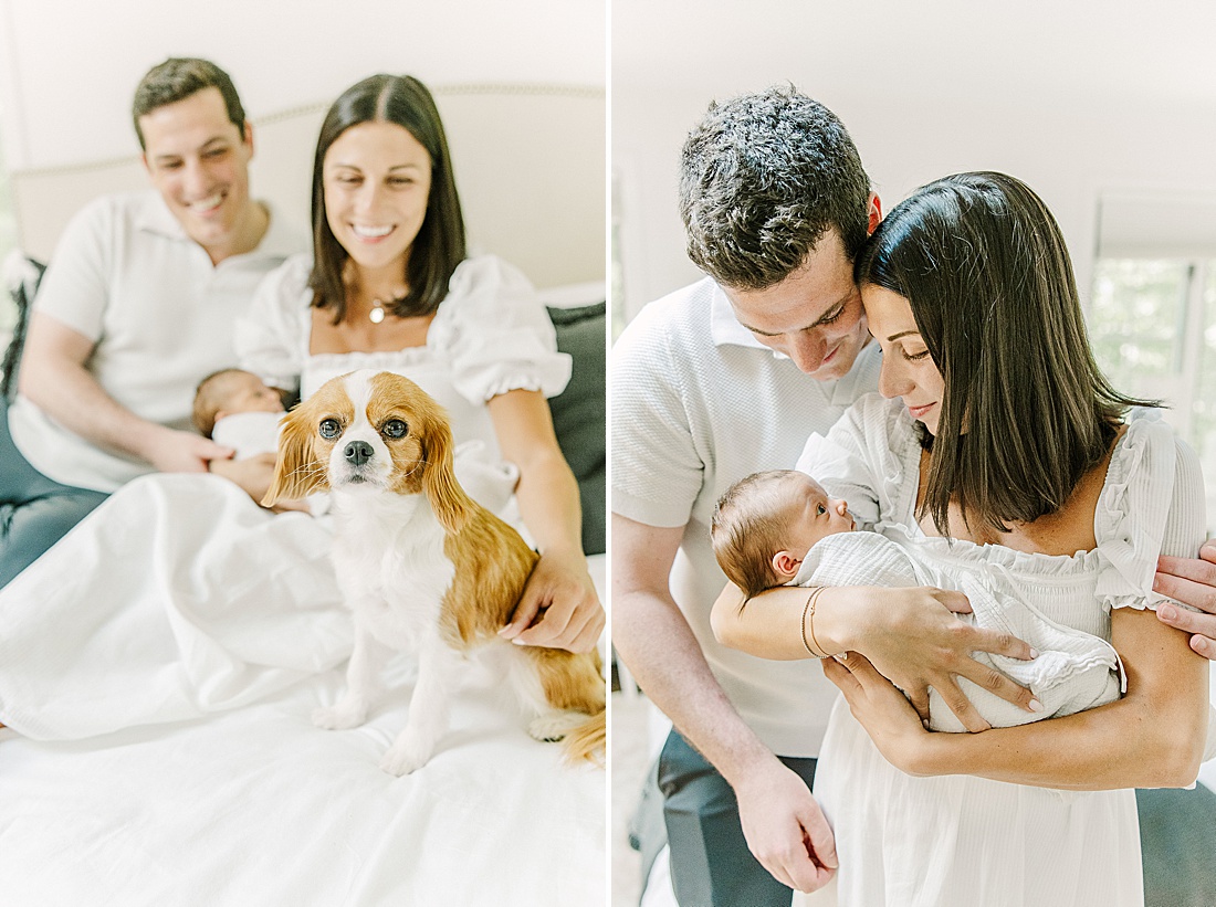 dog sits on bed with family during in-home newborn photo session with Sara Sniderman Photography in Natick Massachusetts