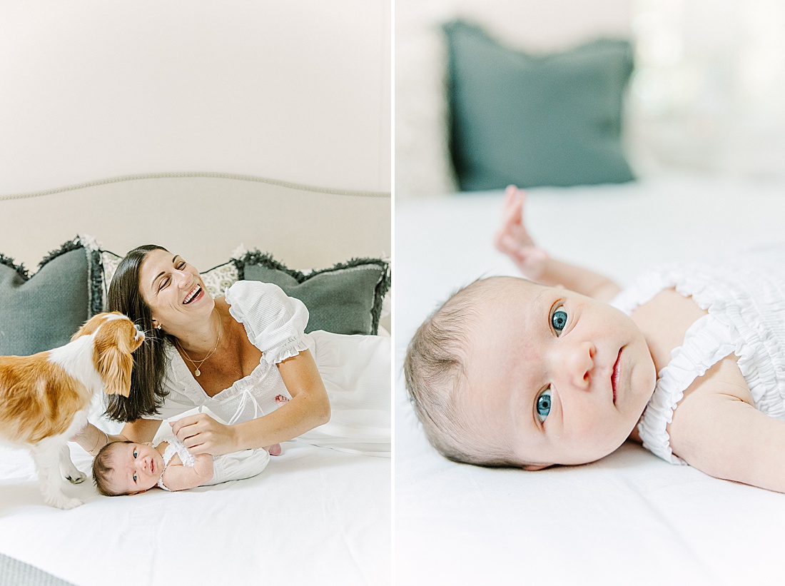 dog kisses mother while she lays in bed with baby during in-home newborn photo session with Sara Sniderman Photography in Natick Massachusetts