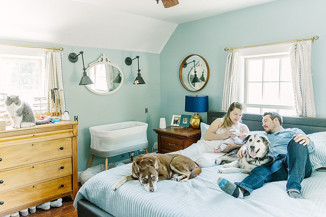 family feeds baby on bed while two dogs sit on bed and cat sits on dresser during in-home newborn photo session with Sara Sniderman Photography in Metro West Boston. 
